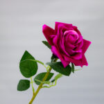 Rama De Rosa Artificial color Fucsia
